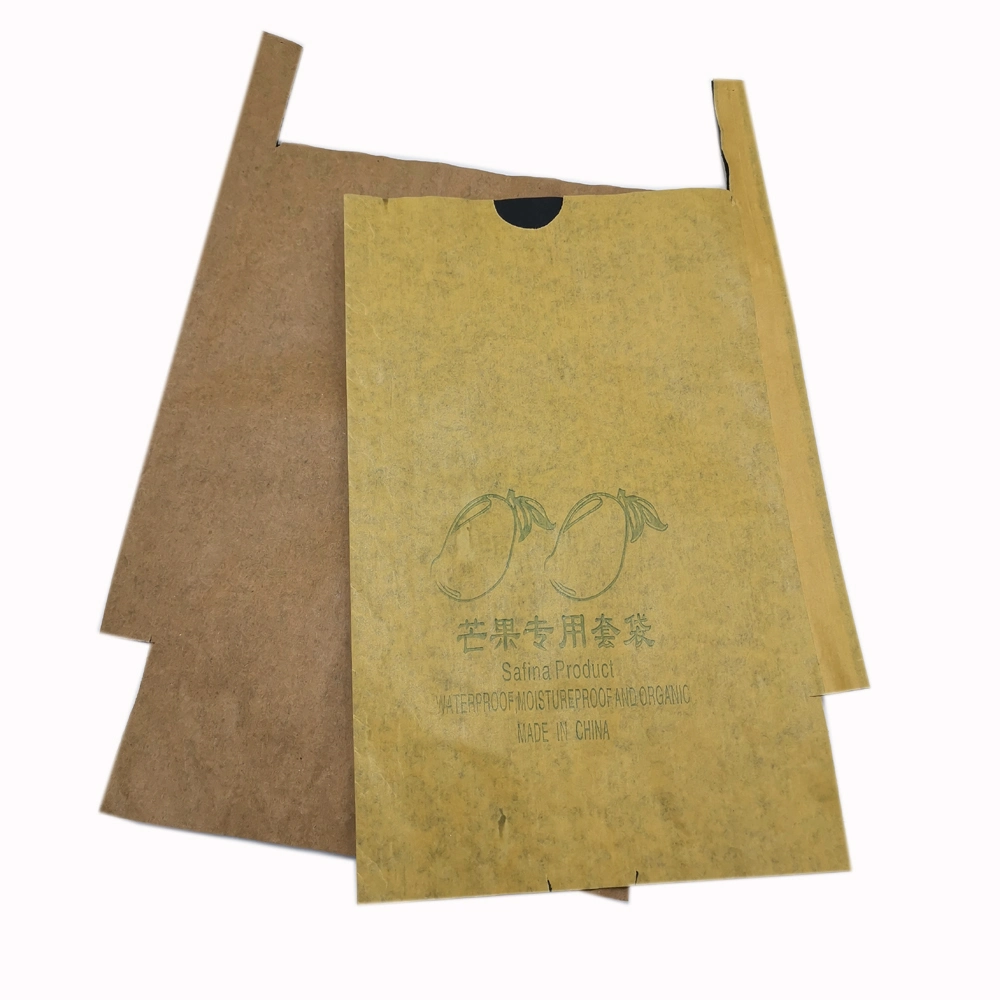 Vente en gros fruits personnalisés croissance simple / double couche imperméable anti-insecte Housse de protection sac Mango fruit protection sac