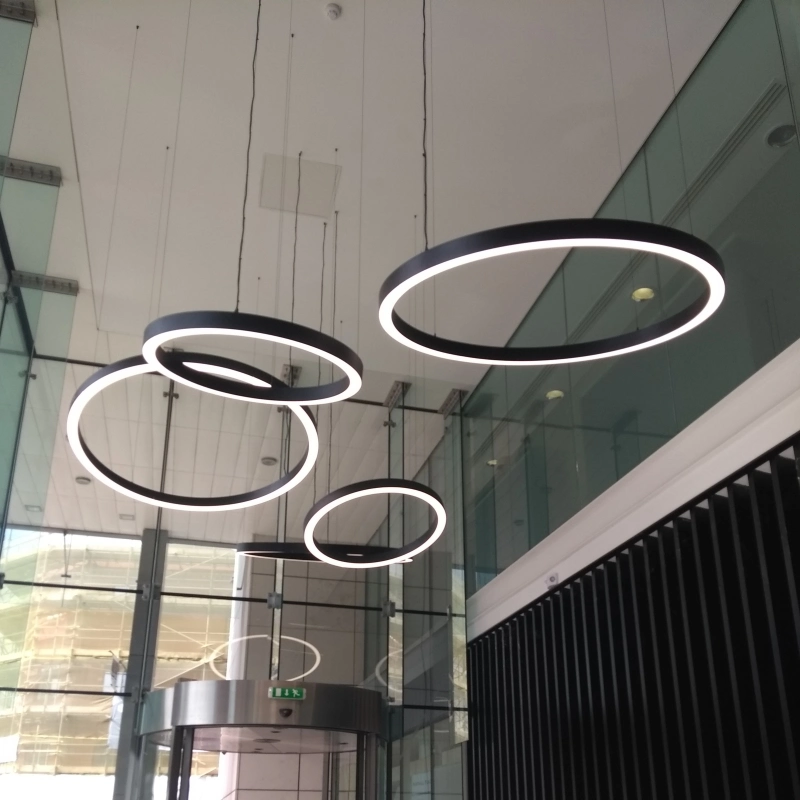 Circle Round Ring Halo Dali Curved Linear Aluminum Hanging LED Pendant Light