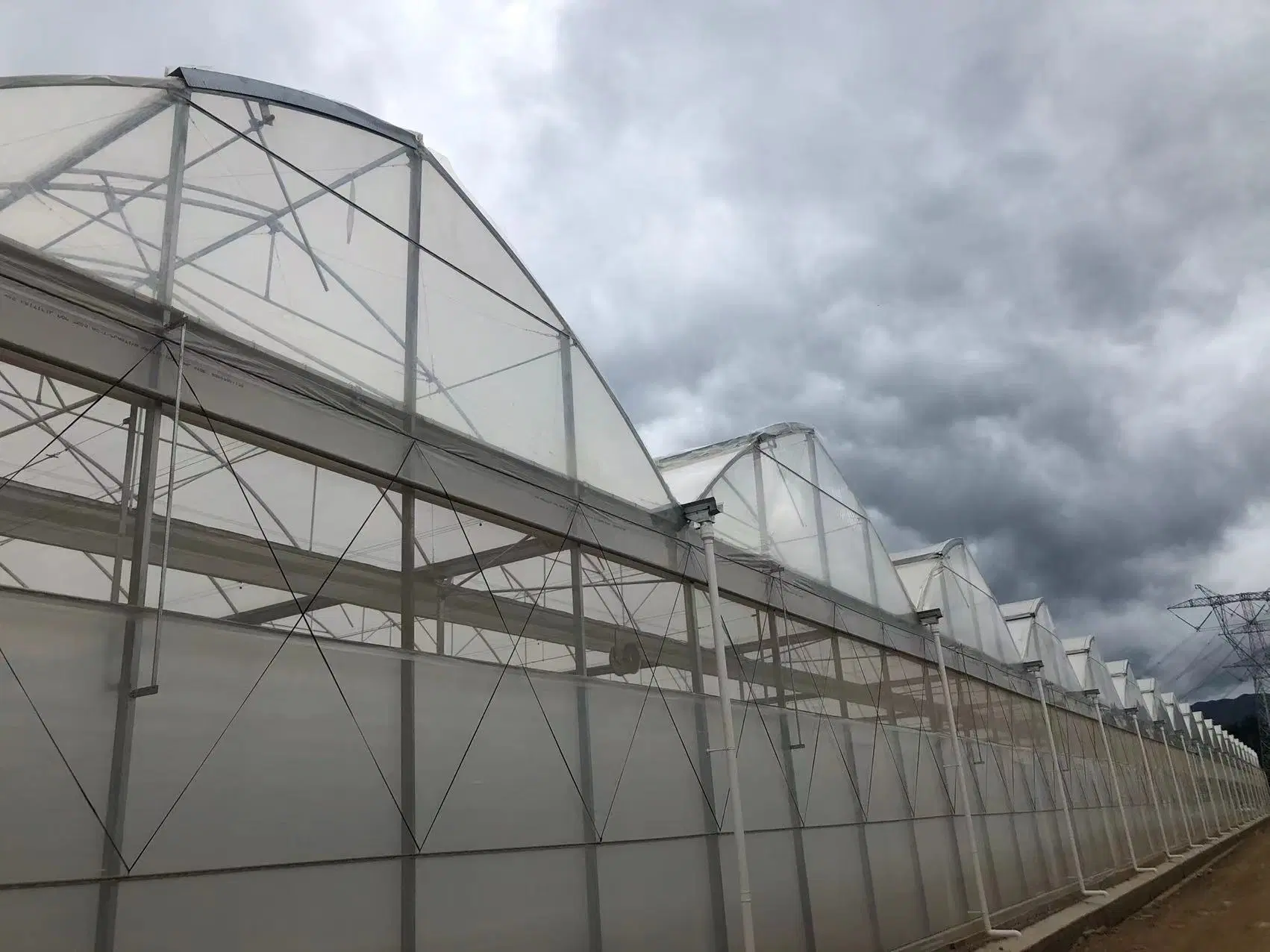 Customized Multi-Span Arch Type PE/Po Plastic Film Agricultural Green House with Hydroponics System for Tomato/Cucumber/Lettuce/Pepper Planting