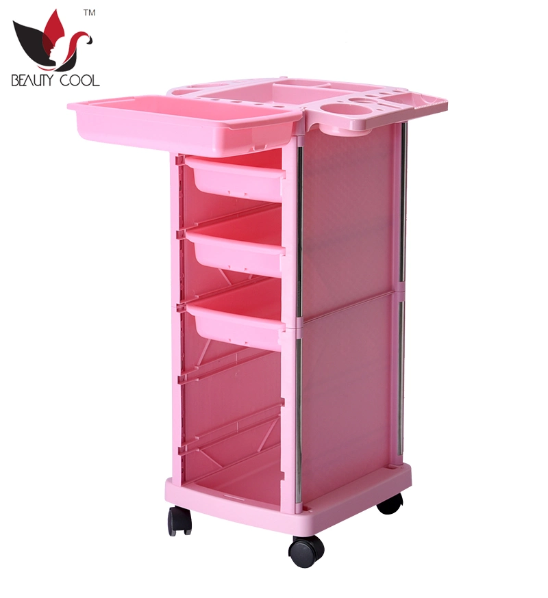 Otros Muebles de salón de peluquería Peluquería equipo carrito Carrito Salón de belleza