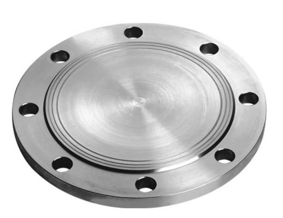 Pn16 Blind Flange Stainless Steel Forged DIN 2527