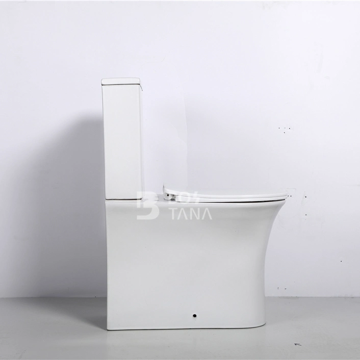 Bathroom Water Saving Two Piece Toilet Set Ceramic Portable Washdown