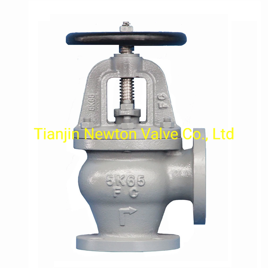 DIN JIS Metal Seat Ductile Cast Iron Double Flange Gate Globe Swing Check Valve Non-Return for Marine JIS5K 10K 16K for Marine Sea Water Steam Nrs OS&Y