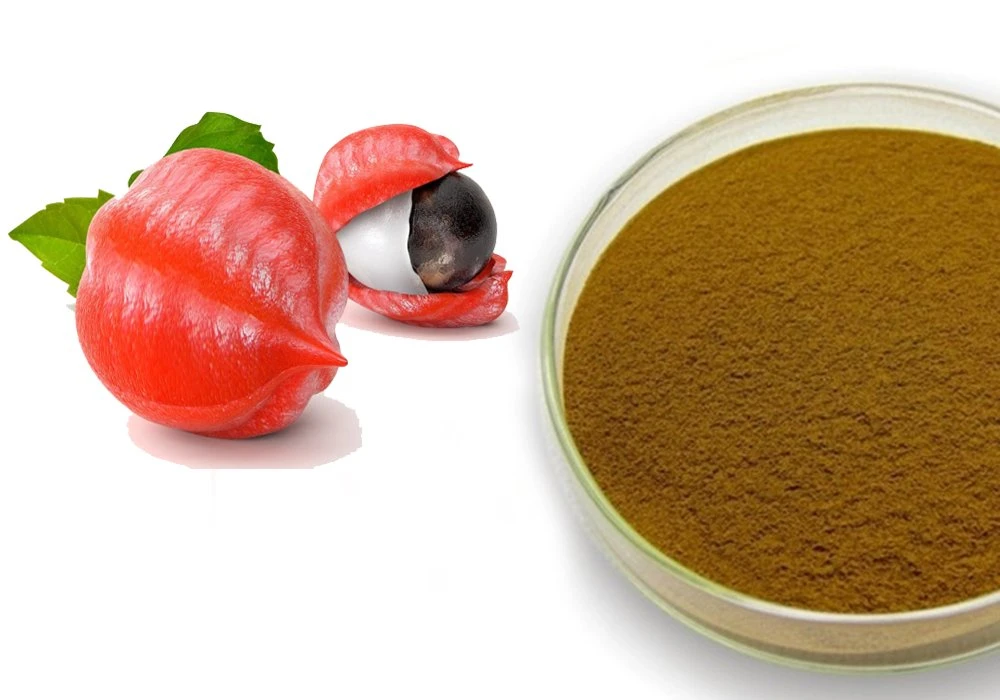 Extracto en polvo de guaraná NLT 10% de cafeína-Dried Alto nivel de cafeína Ingrediente estimulante para el suplemento