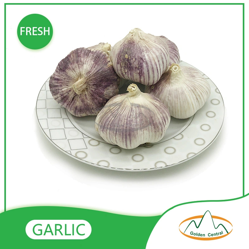 China Best Wholesale/Supplier Fresh Garlic Price with High quality/High cost performance  for Export