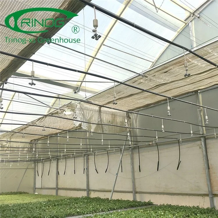 High quality/High cost performance Plastic Film Multi-span Greenhouse for Cultivation