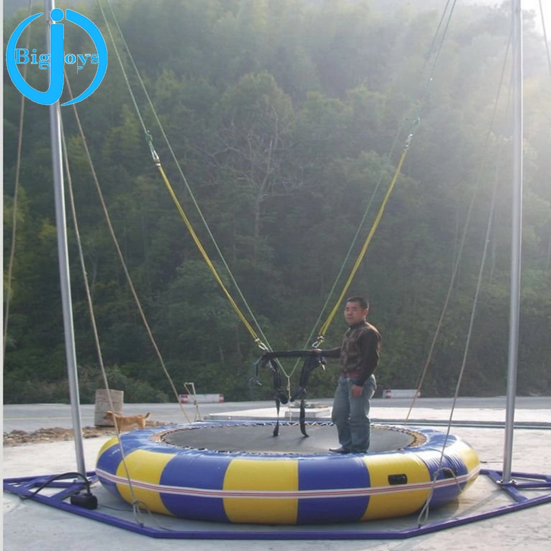 Puenting único para el parque infantil al aire libre, el puenting de UFO inflable