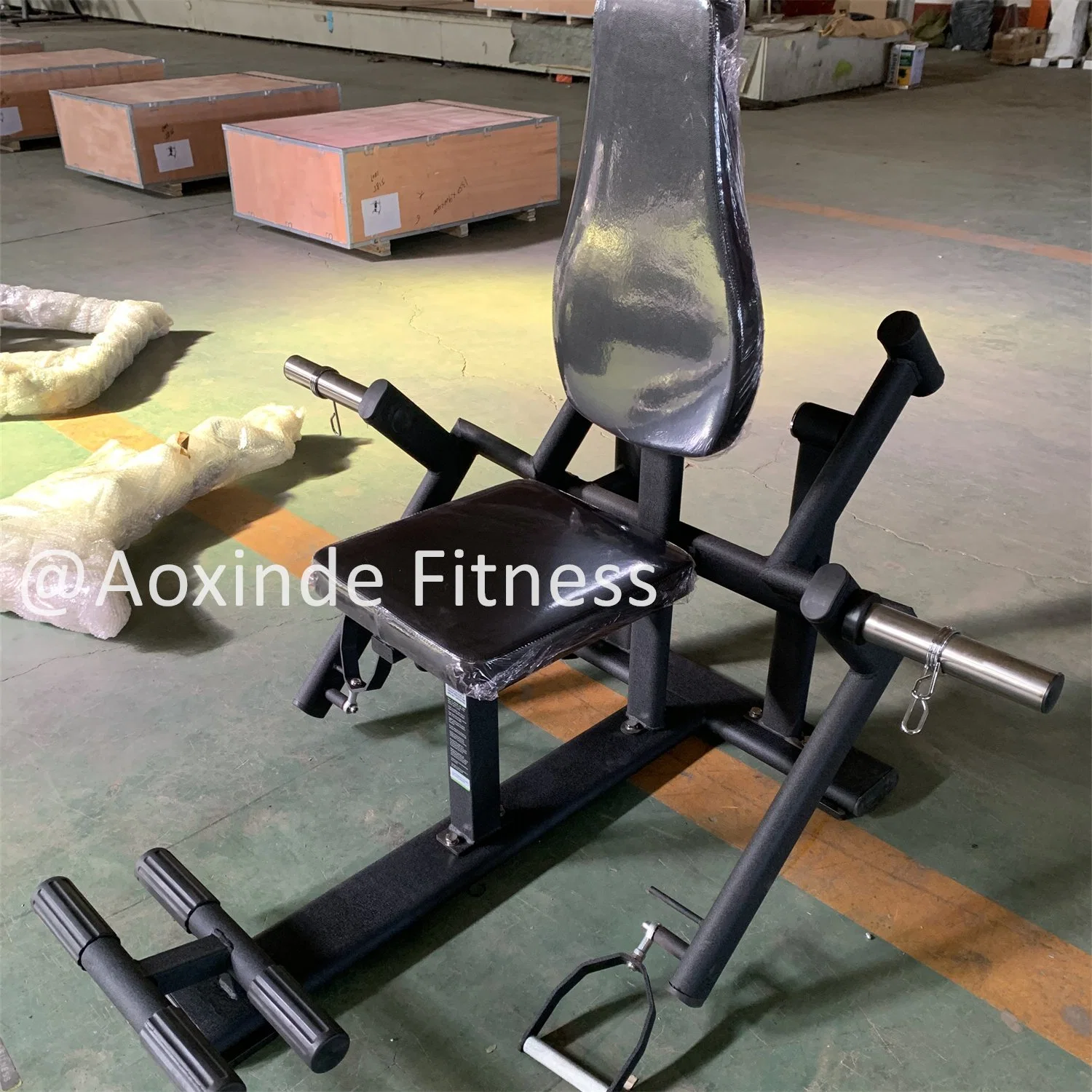 Professional Top Level Hot Special Gym Equipment Fitness &Body Building Biceps Curl (AXD-N63)