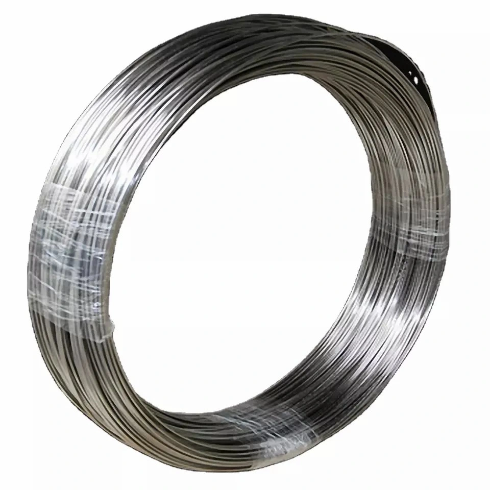 Galvanized Steel Wire 16 Gauge/8 Gauge Electrode Quality Wire Rod Gi Binding Galvanized Steel Wire for Nail Price Per Ton