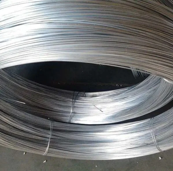 Support Inspection/0.25 0.5 0.7 3.0/Q195 Low Carbon Steel Wire/Galvanized Spring Wire