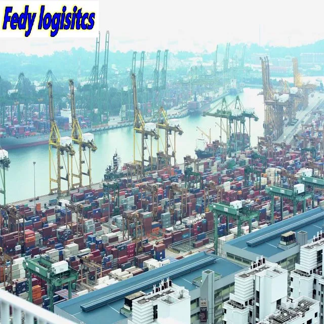 Professional Sea Freight Railway Forwarder Agent Shipping From China to Europe/Koper