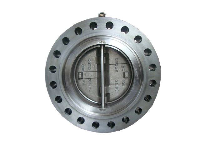 Di/Wcb/Ss 316 Dual Flap Non Return Valves, Other Sizes, Pn 10 / Pn 16 / Class 150