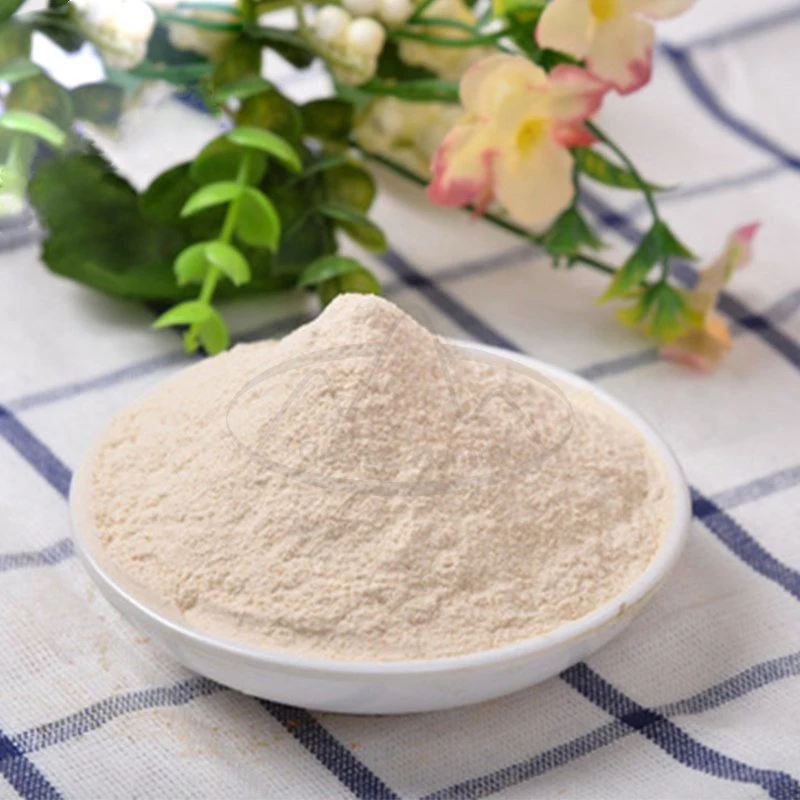 Dehydrated Vegetable White Organic Garlic Powder