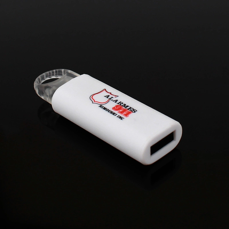 Colorful Bulk USB Drive Pen Drive 32GB Flash Memory Plastic USB Flash Drive