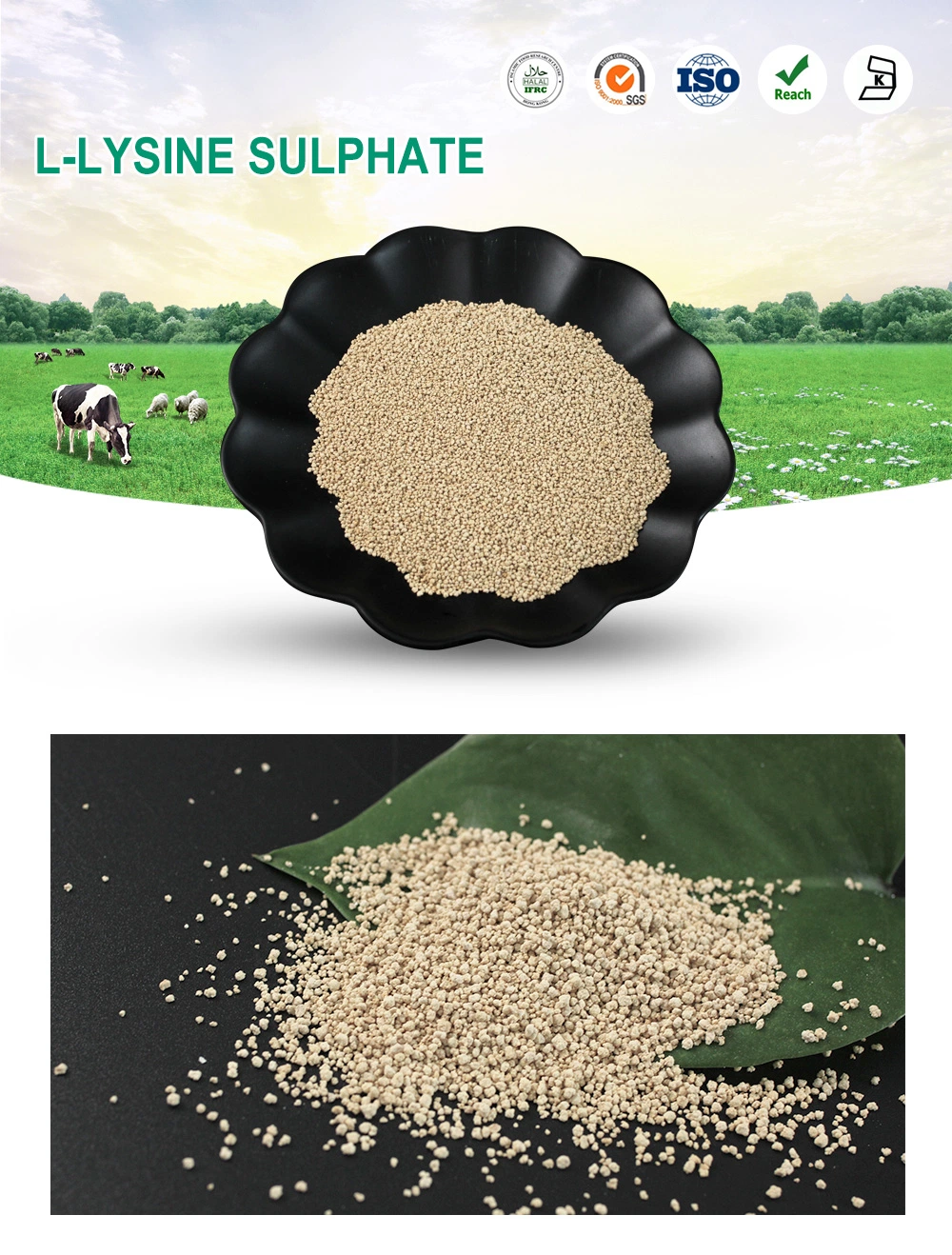L-Lysine Grade d'alimentation de sulfate de marque Marque Fufeng Meihua
