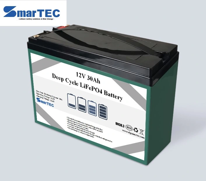 Deep Cycle Lithium/LiFePO4 12V 30Ah Batterie mit Smart BMS für Gartengeräte