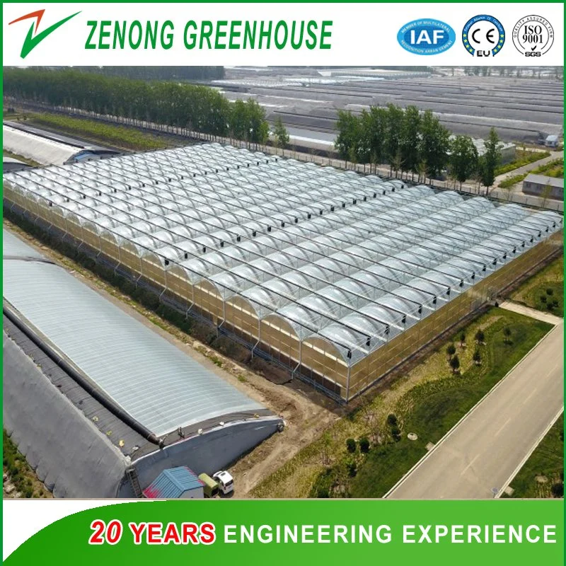 Película de agricultura em policarbonato com efeito de estufa/parede de vidro do teto do filme Green House de dupla camada de película Air-Filled Estufas para a Ásia Central District/Uz/Kz/t/km etc