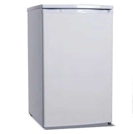 101L Congélateur à porte simple sans réfrigérateur Vertical Compact Porte en mousse Bd-110