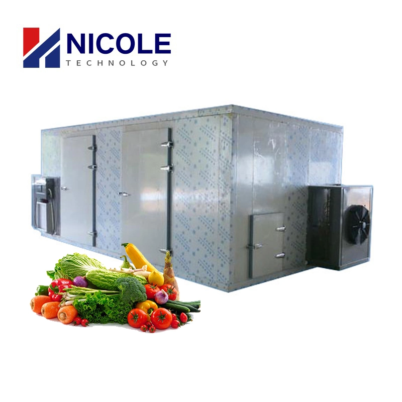 Eco-Friendly Easy Control Hot Air Cycle Oven Vegetable Fruit Leaf Coffee Bean Heat Pump Drying Machine