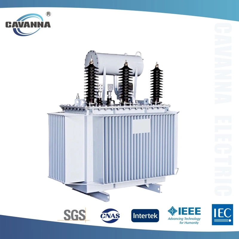 Efficient Power Transmission with S11 Oil-Filled Transformers (500kVA to 2000kVA)