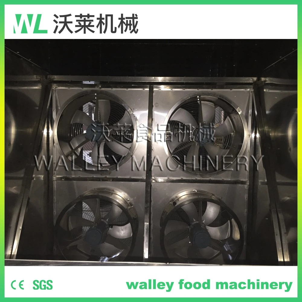 Wl Fruit Drying Machine Vegetable Drying Equipment Food Drying Equipment