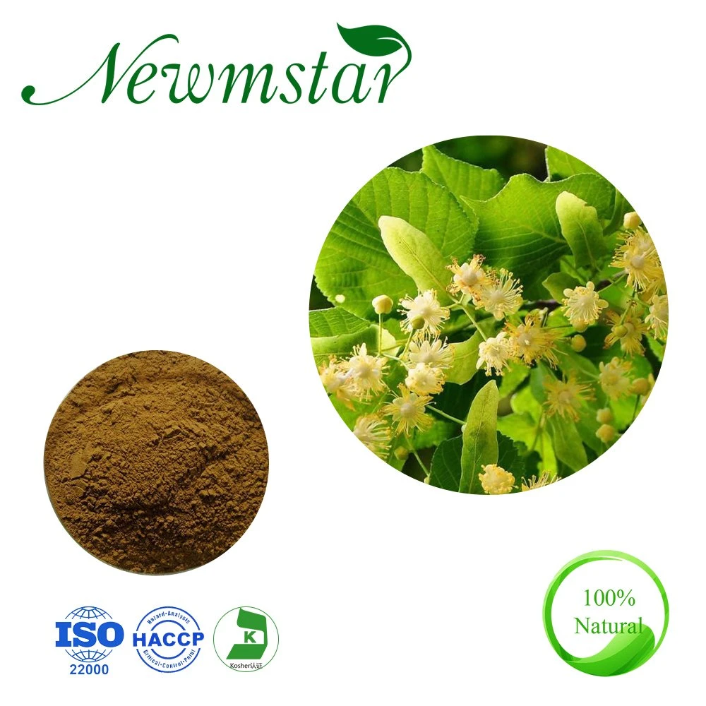 Factory Supply Natural Pure Linden Flower Extracttil / Tilia Europaea Flower Extract