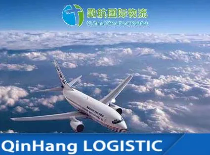 Amazon Fba Freight Forwarder Ocean Freight Sea Cargo China Shipping Agents to USA/Canada/Europe/UK