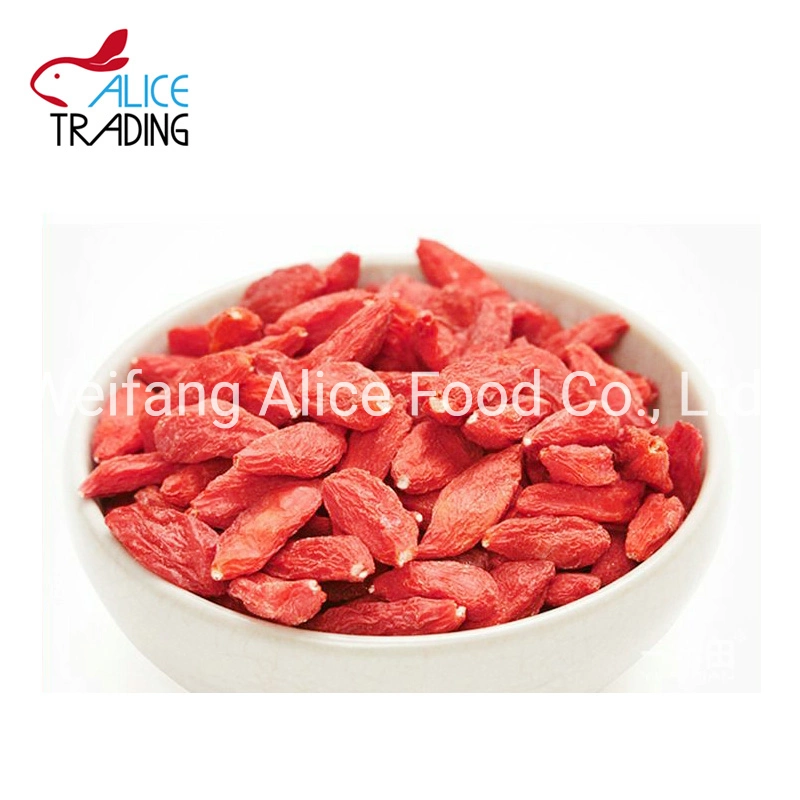 Dried Goji Berry Natural Dried Wolf Berry with New Crop From Ningxia China