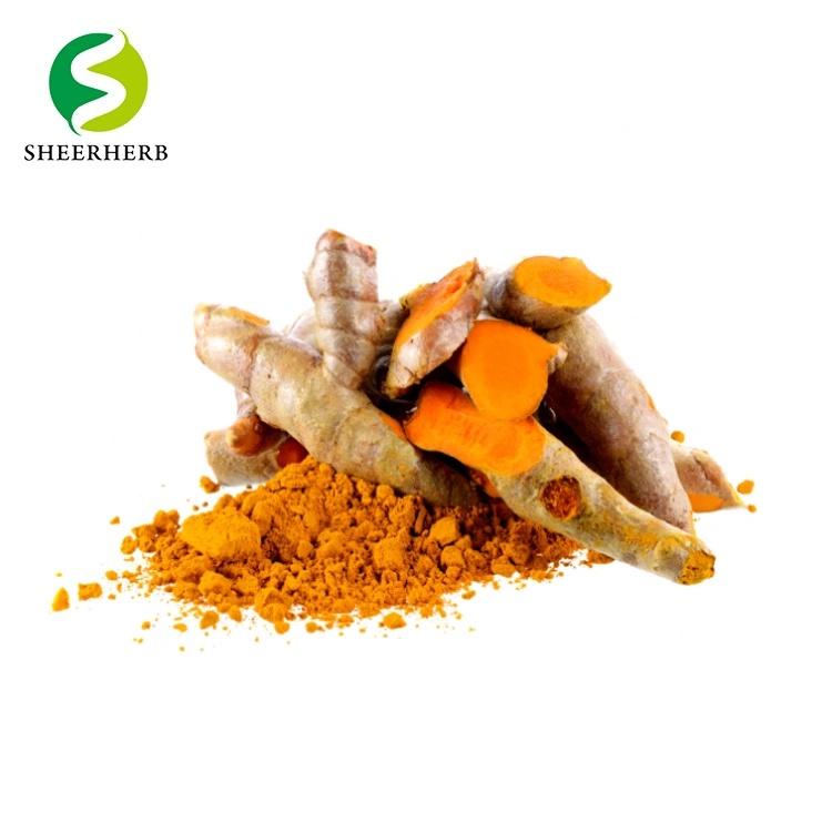 Hight Quality Free Sample Organic Turmeric Root Powder Antioxidant 95% Curcumin