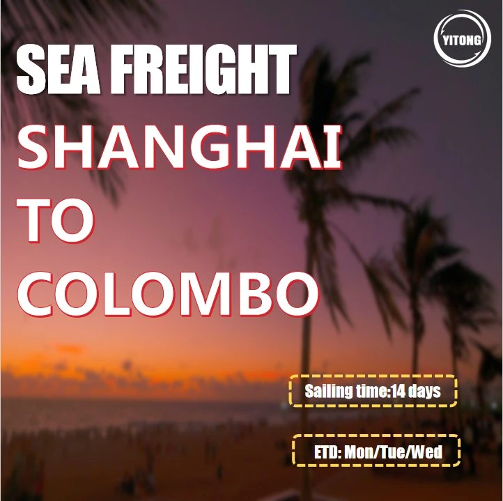 Cargo Shipping Price From Dalian to Colombo Sri Lanka