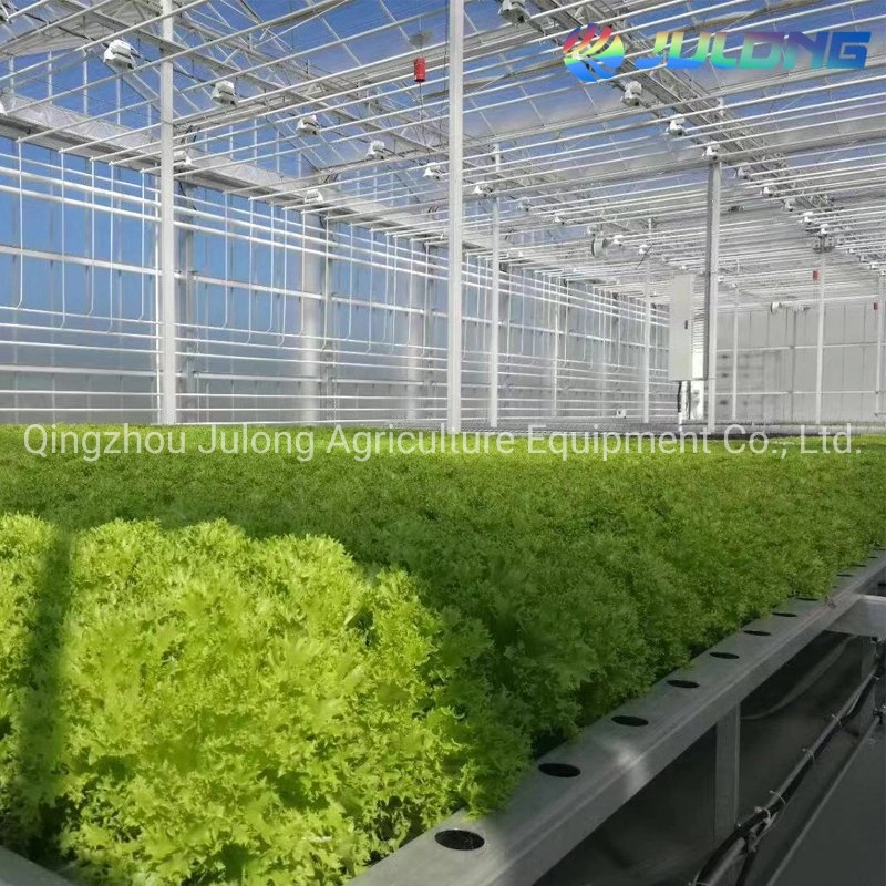 2019 Modern Design PC Board Greenhouse with Glass Cover 30 X 100 Greenhouse