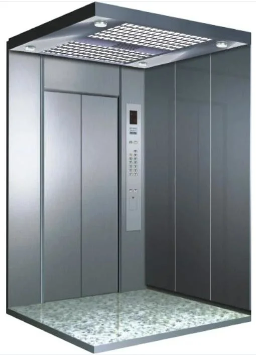 Professional Service Traction Series Home Elevator Lift for Sale