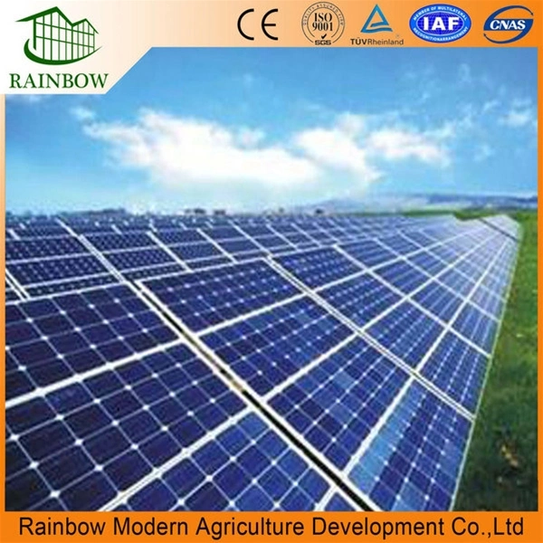 Agriculture Energy Saving Photovoltaic Panels Greenhouse