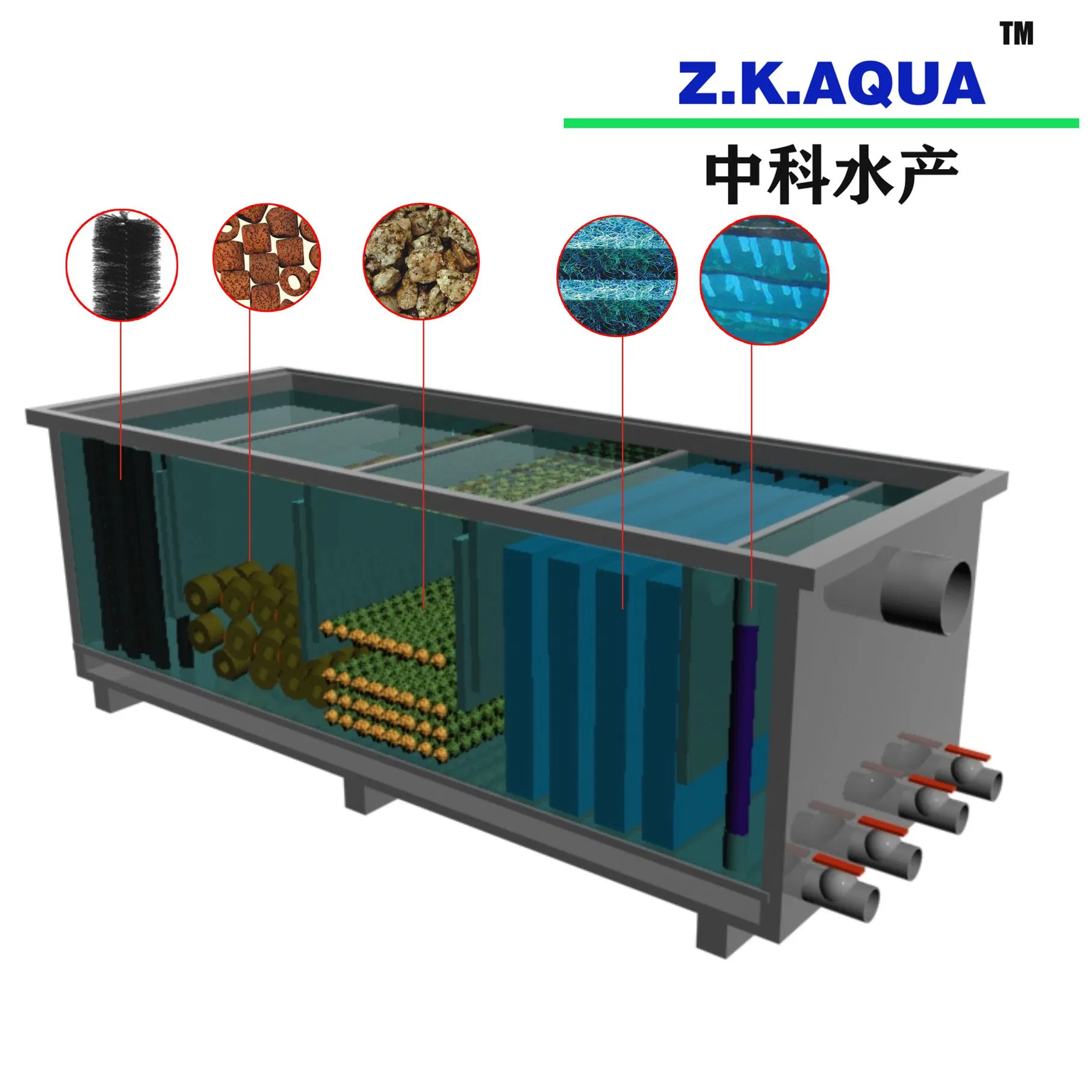 Box-Biological Filter for Ras with UV Parts. Bio-Filter on Sale, New Farmer System