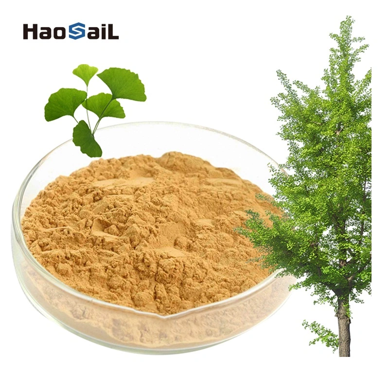 Food Grade Folium Ginkgo Biloba Leaf Extract