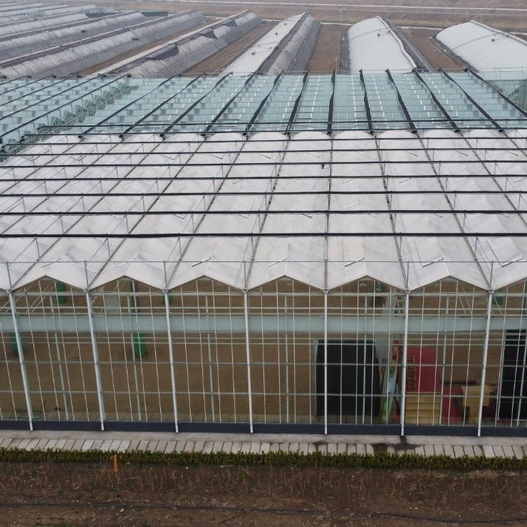 Eco-Friendly Restaurant Garden with Double Glass Greenhouse and Hydroponic Growing System