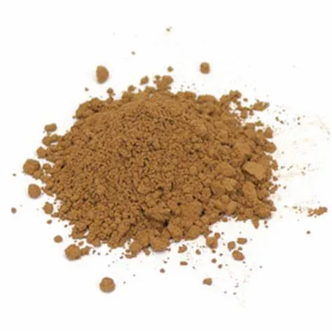 Competitive Price Good Quality Reishi Mushroom Powder