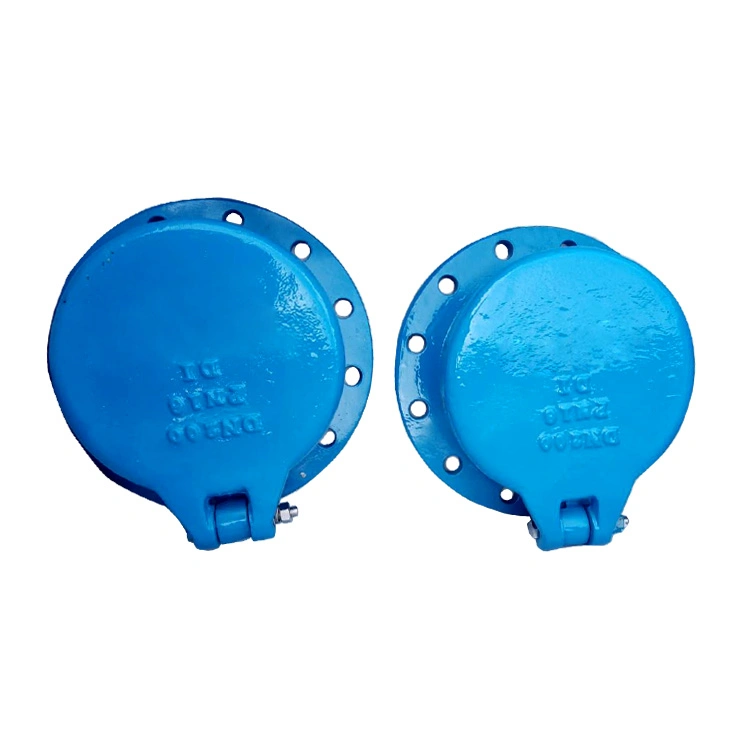 Standard DN100 Pn10 Non-Return Flap Metal Seal Check Valves