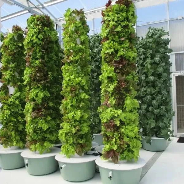 منزل بالجملة برج عمودي رخيص في الداخل حديقة Hydroponic تنمو في الداخل مجموعة مصنعي الصين