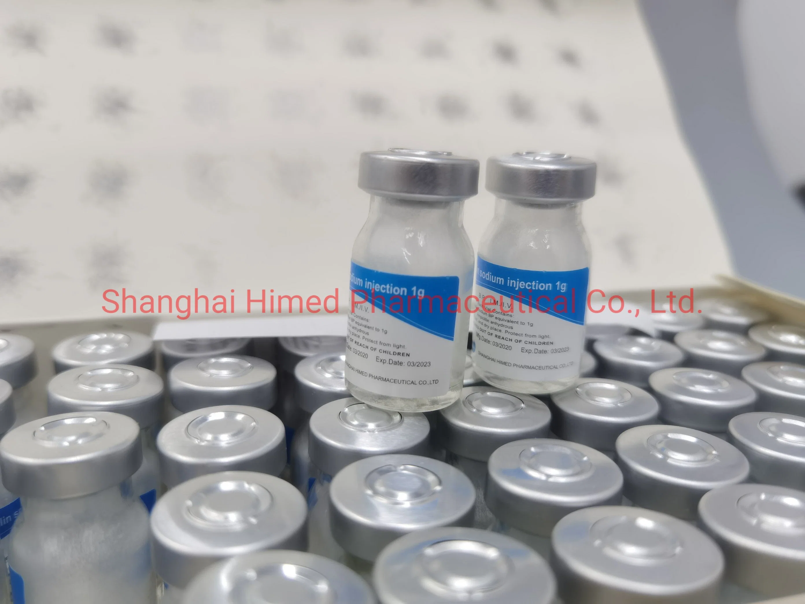 Ampicillin Sodium Powder Injection Penicillin 0.25g/250mg/0.5g/500mg/1g