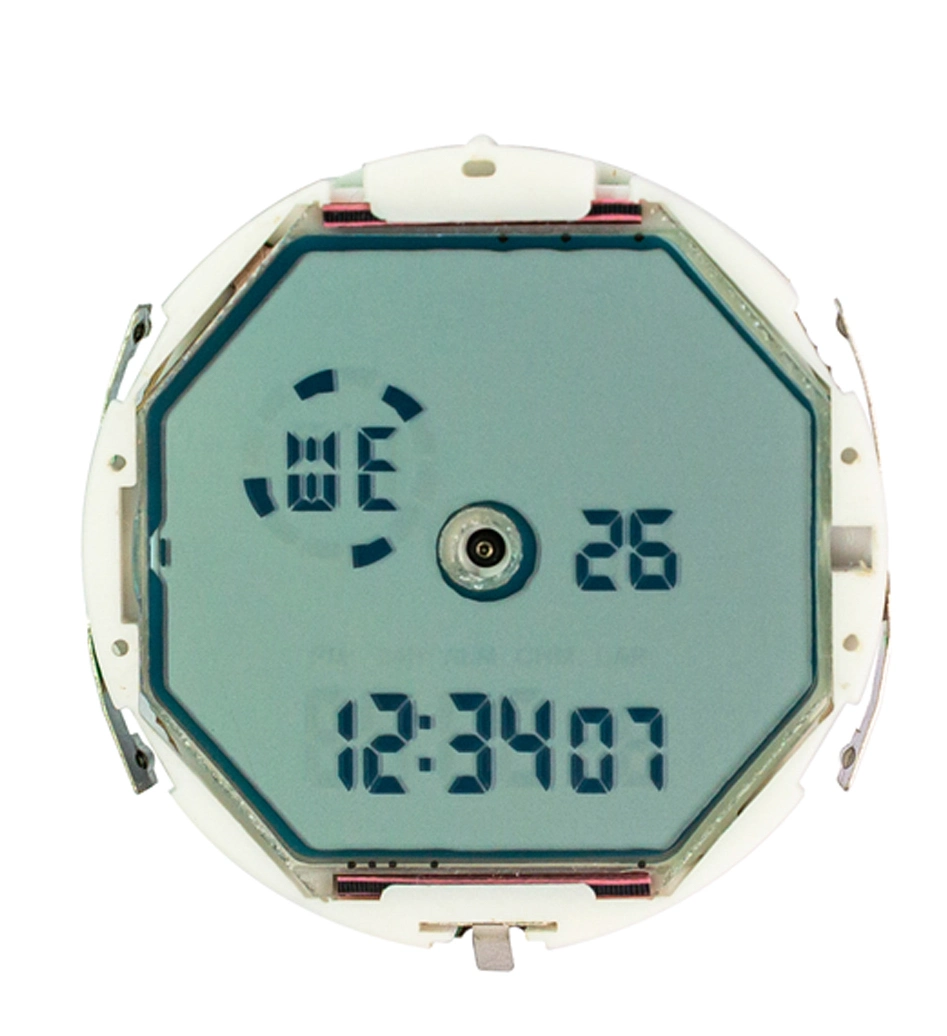 OEM Manufactory Custom Alarm Clock Display Stn Segment LCD Display Panel