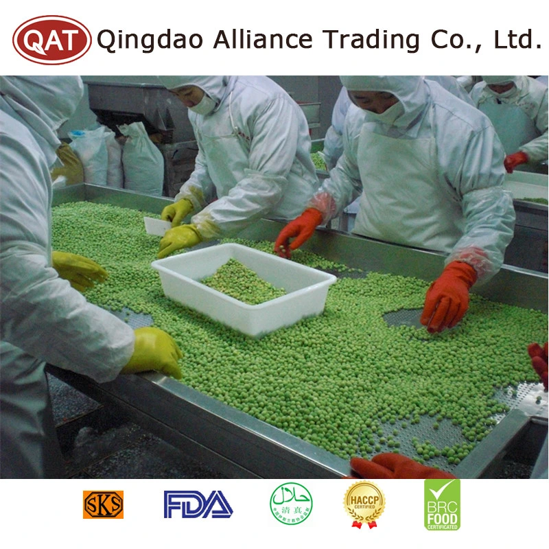 New Harvest A Grade Frozen IQF Green Color Peas with Competitive Price in Bulk Carton Package