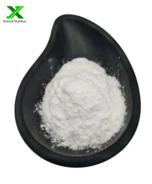 CAS 107-43-7 High Purity 99% Manufacturer Supply Glycine Betaine Powder