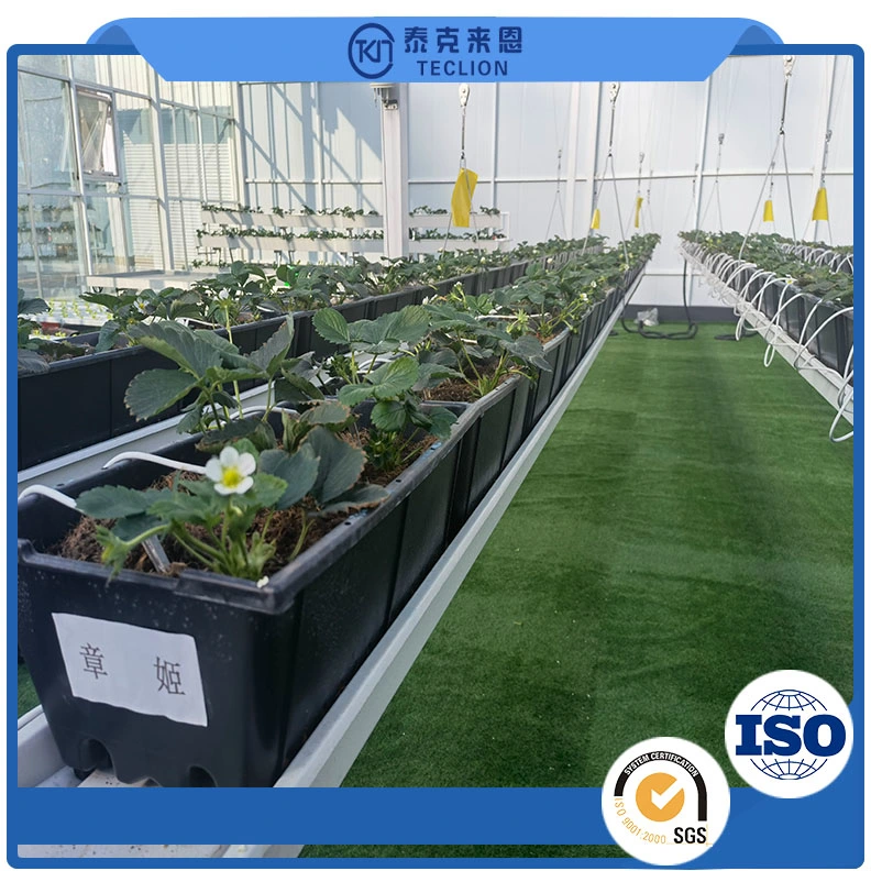 Nft Channel System Hydroponics Agricultural Leafy Vegetable Hydroponics System Professional Chinese Manufacturer