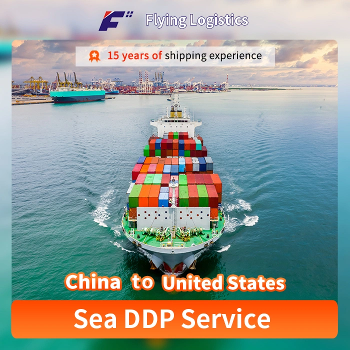 Professional Cheapest Fast Sea Freight Agent Logistics Service From China to United States