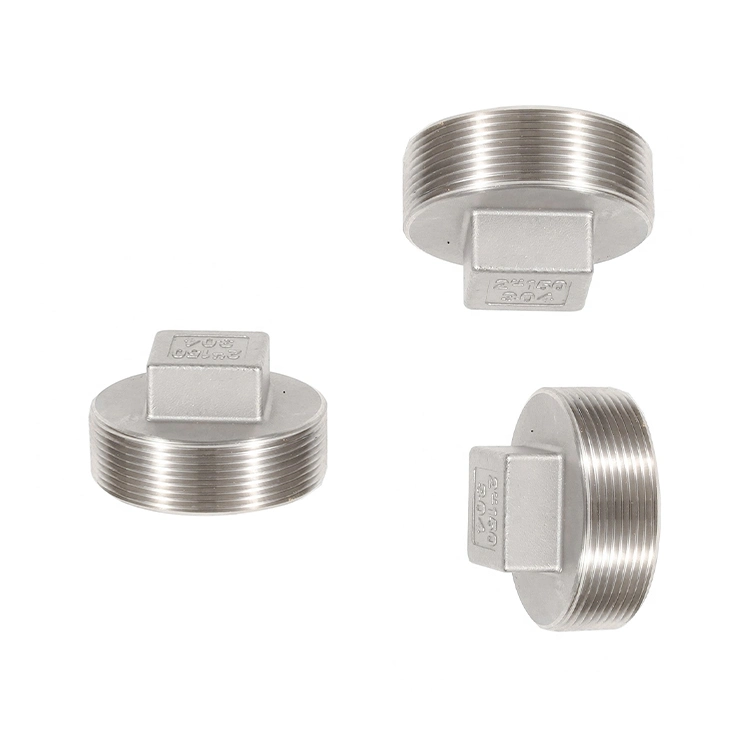 Stainless Steel Casting Pipe Fitting Square/Hex Head Plug