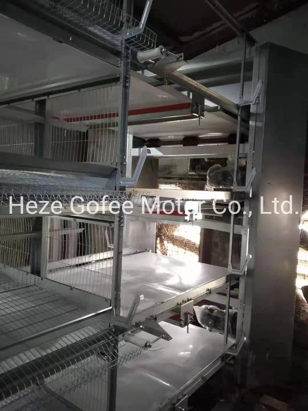 Fully Automatic Manure Removing System H Type Galvanized 4 Tiers Cage Metal Chicken Layer/Broiler Duck