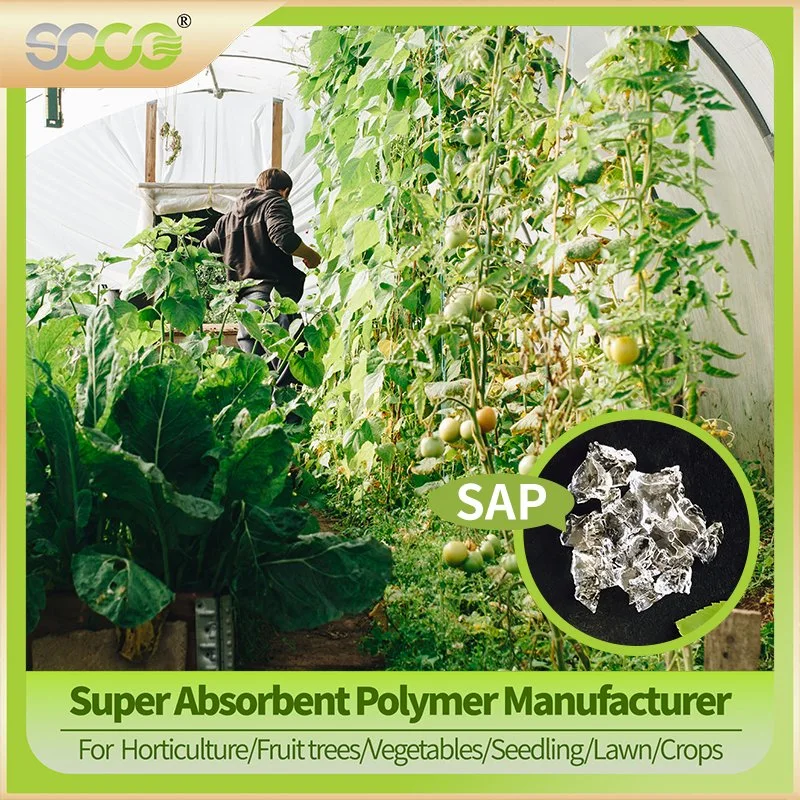 Water Retaining Agent Super Absorbent Polymer for Forest Rehabilitation