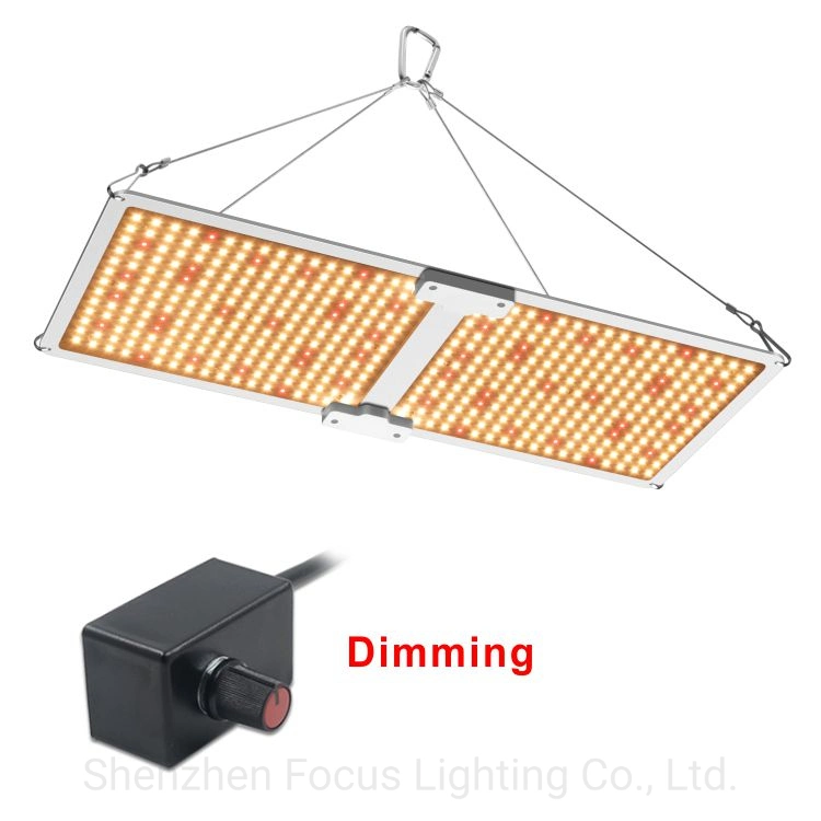 Commercial 200W 220W 240W à intensité réglable quantique à spectre complet de plus en plus utilisé en intérieur La croissance des plantes Hydroponique grow feux à LED pour l'intérieur de la laitue Microgreen Plantes