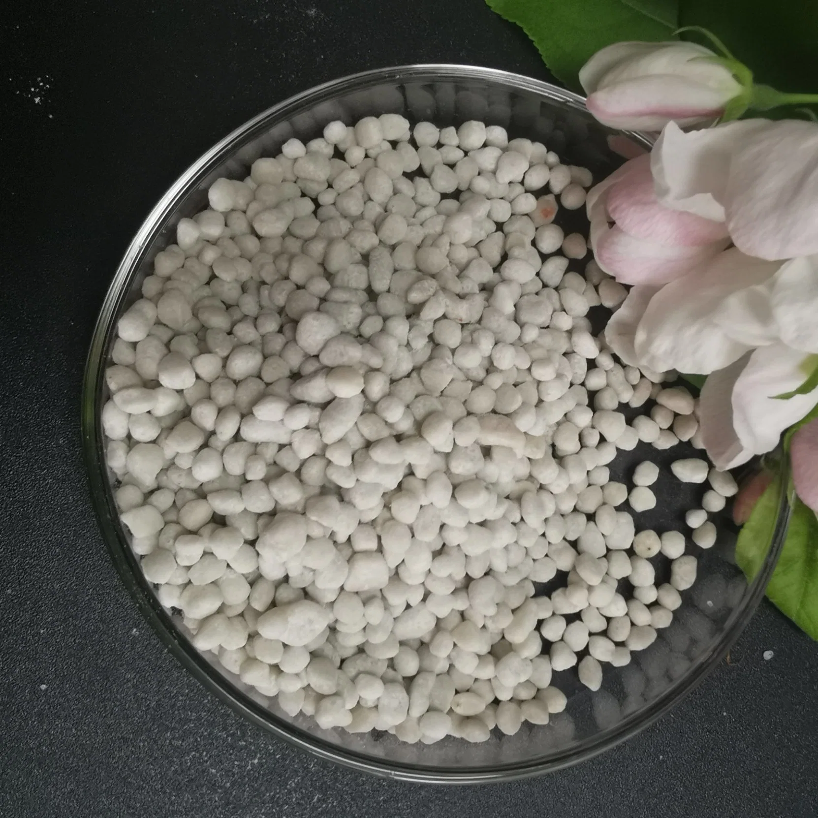 Ammonium Sulfate Granular Crystal N21% Price for Fertilizer